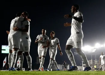 Vitor Silva/Botafogo