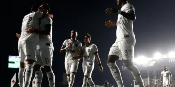 Vitor Silva/Botafogo