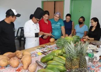 A ação integra o projeto "Mãos que Criam", desenvolvido pela Setas, por meio da Gerência de Inclusão Produtiva, com foco na geração de renda e no fortalecimento da autonomia das famílias. Foto - Gabriel Filipe/Governo do Tocantins