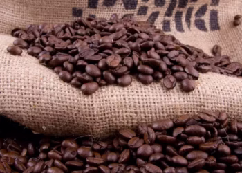 O real mais forte desestimula as exportações dos cafeicultores brasileiros — Foto: Getty Images/Canva