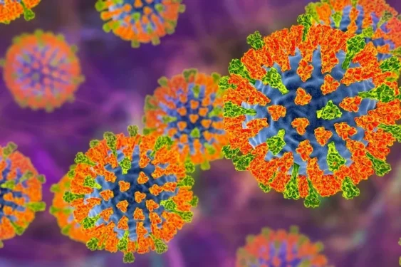 Kateryna Kon/Science Photo Likbrary/Getty Images