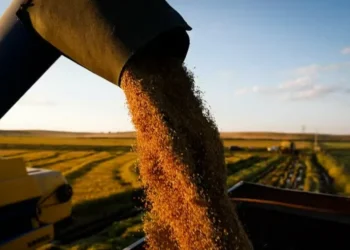 Produtores avaliam que os preços praticados não remuneram adequadamente os custos de produção — Foto: Wenderson Araújo / CNA