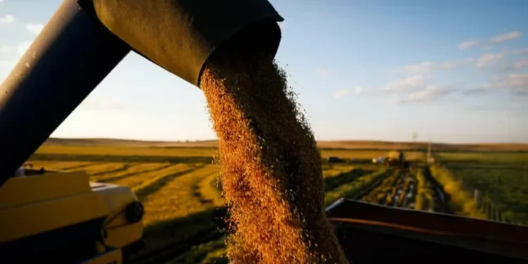 Produtores avaliam que os preços praticados não remuneram adequadamente os custos de produção — Foto: Wenderson Araújo / CNA