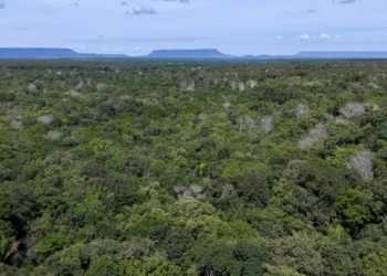 Foto: Marcel de Paula/Governo do Tocantins.