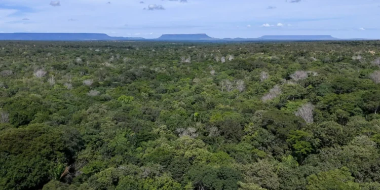 Foto: Marcel de Paula/Governo do Tocantins.