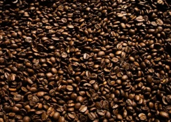 O mercado de café se recupera das perdas de quinta-feira — Foto: Wenderson Araujo/CNA