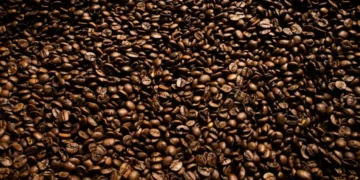 O mercado de café se recupera das perdas de quinta-feira — Foto: Wenderson Araujo/CNA