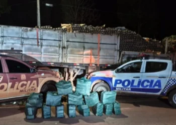 Drogas apreendidas na rodovia BR-153, no município de Tabocão - Foto: Ascom PMTO