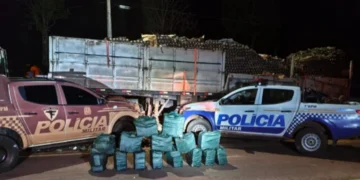 Drogas apreendidas na rodovia BR-153, no município de Tabocão - Foto: Ascom PMTO