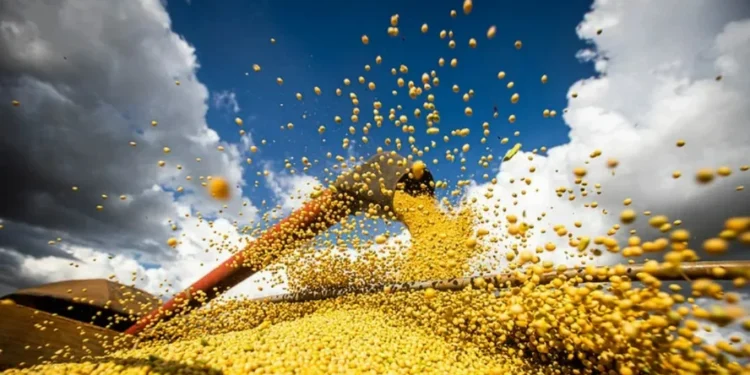 A Conab prevê uma nova produção recorde para a soja, de 179,2 milhões de toneladas, 4,5% maior do que na safra 2024/25. — Foto: Wenderson Araujo/CNA