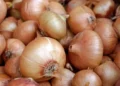 Importações brasileiras de cebola aumentaram 22,5% em março — Foto: Canva