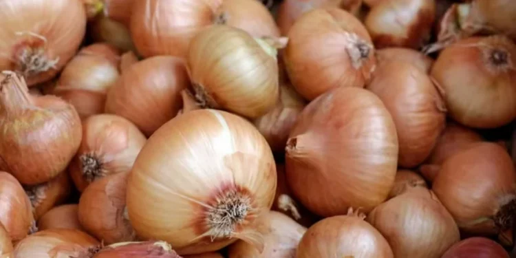 Importações brasileiras de cebola aumentaram 22,5% em março — Foto: Canva