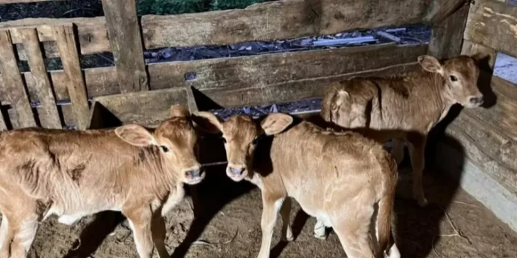 Foto: Arquivo Pessoal