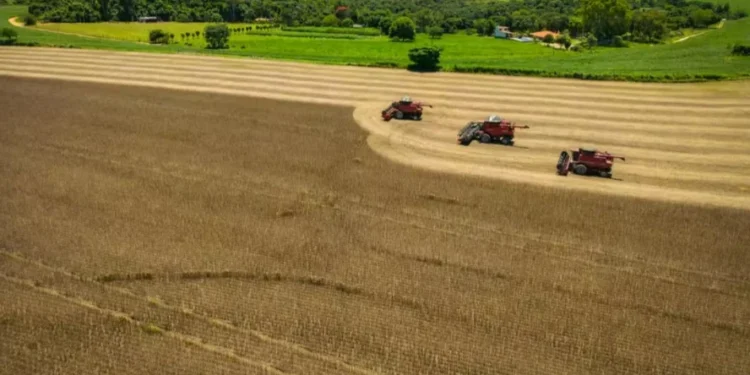 Foto: Wenderson Araújo/CNA