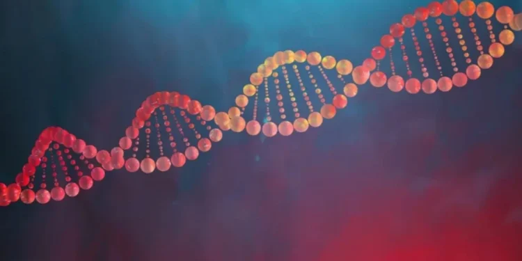 Stanislaw Pytel / Getty Images