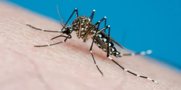 Joao Paulo Burini/Getty Images