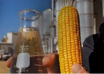 O etanol de milho representa hoje pouco mais de 27% da produção total do combustível no país — Foto: CNA/Divulgação