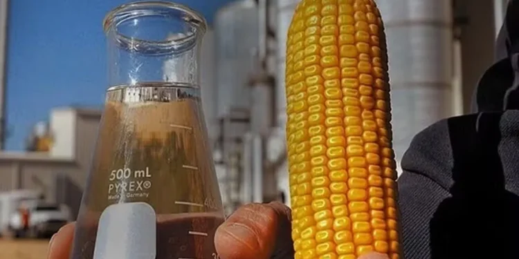 O etanol de milho representa hoje pouco mais de 27% da produção total do combustível no país — Foto: CNA/Divulgação