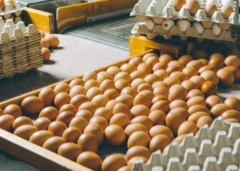 Menor ritmo de vendas fez com que a pressão por descontos se intensificasse — Foto: Canva/Creative Commons