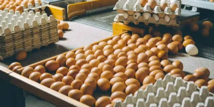 Menor ritmo de vendas fez com que a pressão por descontos se intensificasse — Foto: Canva/Creative Commons