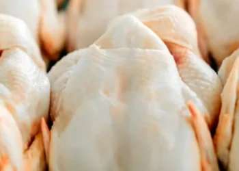 Na primeira quinzena de abril, o preço do frango resfriado negociado na Grande São Paulo avançou fortes 6,6% em relação a março — Foto: Canva/Creative Commons