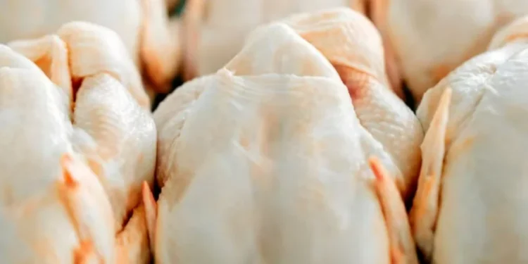 Na primeira quinzena de abril, o preço do frango resfriado negociado na Grande São Paulo avançou fortes 6,6% em relação a março — Foto: Canva/Creative Commons