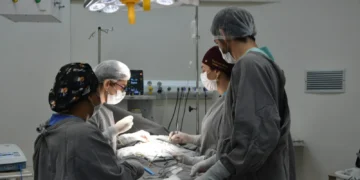 FOTO: Luciana Barros