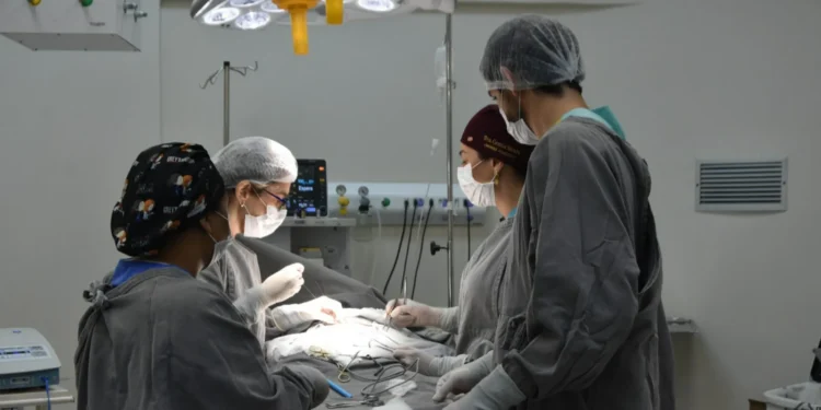 FOTO: Luciana Barros