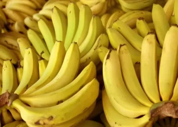 Feriado de Tiradentes também afetou os carregamentos de banana-nanica — Foto: Ceagesp/Divulgação