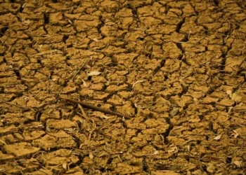 O estudo aponta como exemplo a seca no Brasil em 2023/24, que chegou a registrar perdas em 20% da produtividade — Foto: Wenderson Araujo