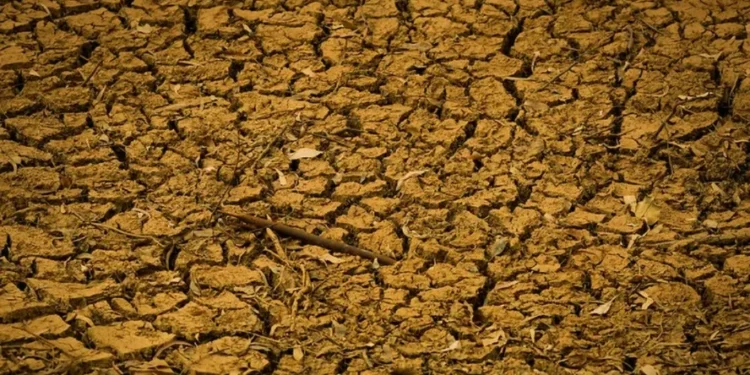 O estudo aponta como exemplo a seca no Brasil em 2023/24, que chegou a registrar perdas em 20% da produtividade — Foto: Wenderson Araujo