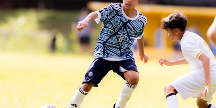 Renan Pariz/@parizfotos