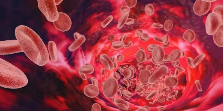 Jonathan Kitchen/Getty Images