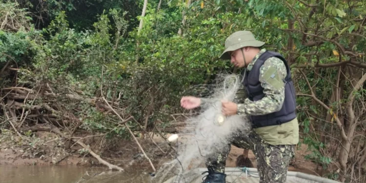 Foto: Divulgação/Naturatins