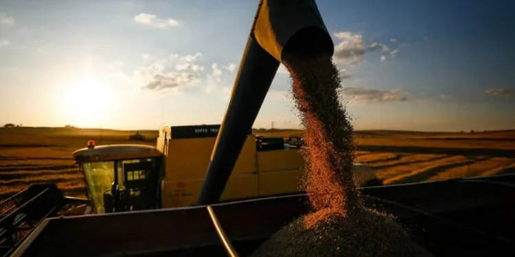 Foto: Wenderson Araújo / CNA