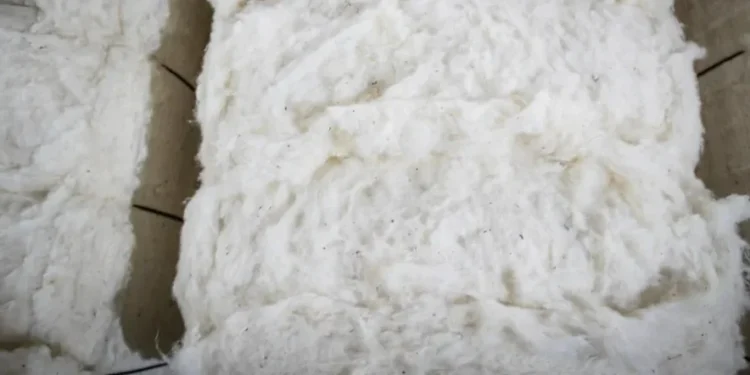 Foto: Wenderson Araujo/CNA