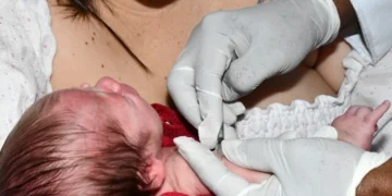 Ananda Santos/Governo do Tocantins.