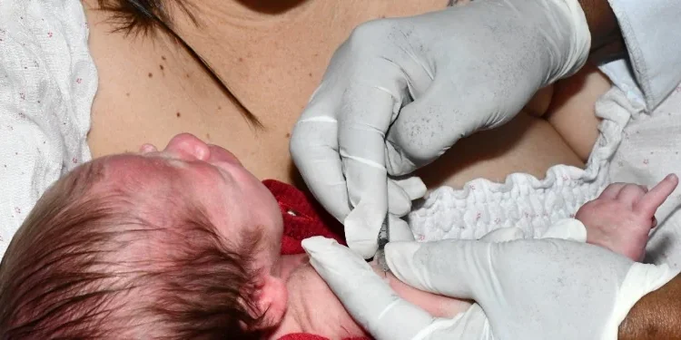 Ananda Santos/Governo do Tocantins.