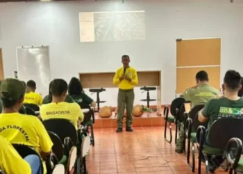 Foto: Kleidiane Araújo/Governo do Tocantins