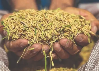 Foto: Leandro Ignácio