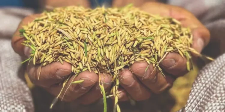 Foto: Leandro Ignácio