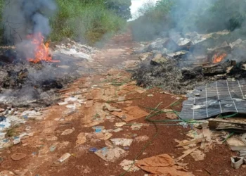 Foto: Divulgação Defesa Civil