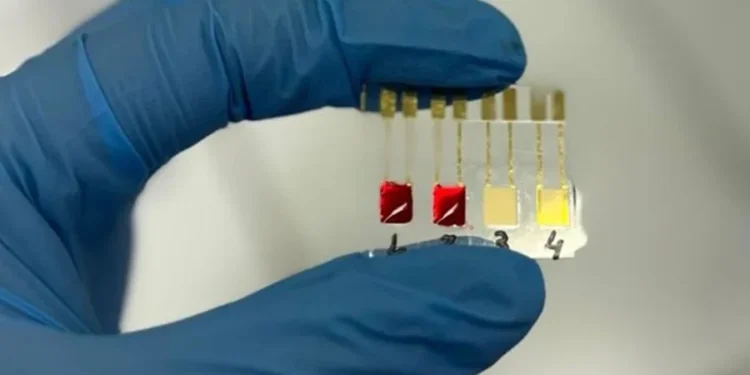 Reprodução / Gabriella Soares