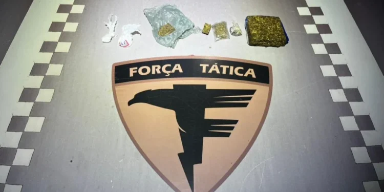 Material apreendido - Foto: Ascom 7ª CIPM