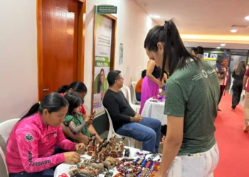 Amanda Melina/Governo do Tocantins