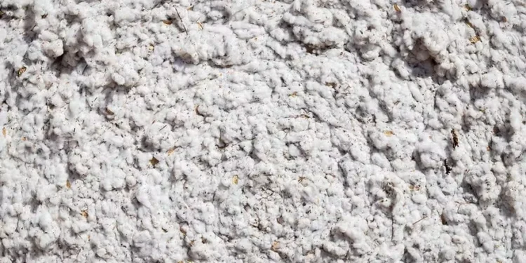 Foto: Wenderson Araujo/CNA