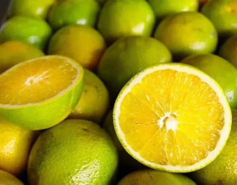 A coloração das laranjas também vem afastando o consumidor — Foto: Ceagesp / Divulgação