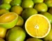 A coloração das laranjas também vem afastando o consumidor — Foto: Ceagesp / Divulgação