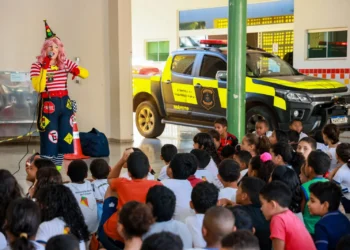 Ações educativas em escolas da Capital estão previstas. Crédito da foto: Divulgação