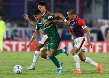 Cesar Greco/Palmeiras/by Canon
